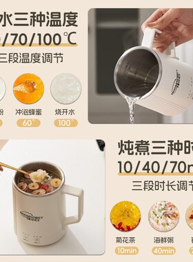 佳小白便携式热牛奶小型迷你电煮杯办公多功能保温烧水杯早餐热奶