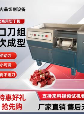 全自动切肉丁机微冻肉切丁就新鲜肉类切丁机食品厂肉类切粒机厂家