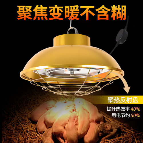 卤素保温灯养殖场专用仔猪小鸡育雏灯兽用取暖灯罩加热灯泡猪场用 - 图2
