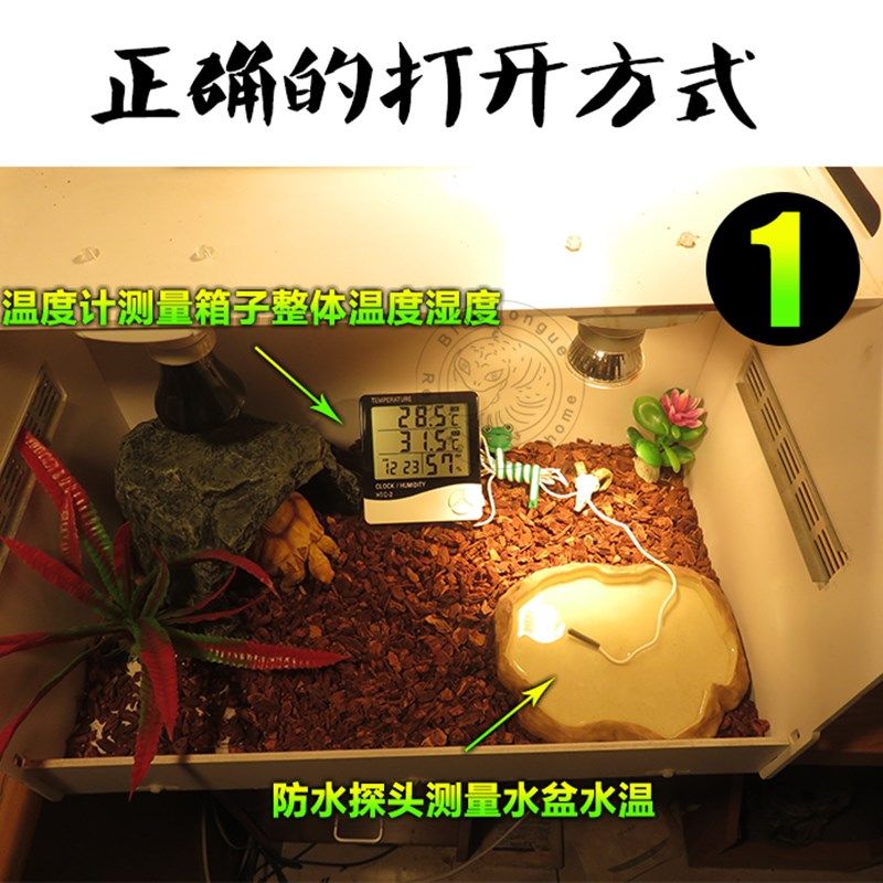 爬虫电子温度计探头温湿度计爬宠箱陆龟蜥蜴宠物温度计高精度双温,淘宝优惠券,粉丝福利购,淘宝优惠卷