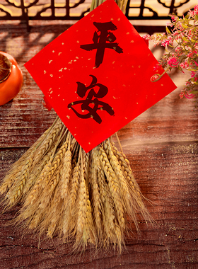 大麦摆件麦穗干花客厅装饰金麦穗麦子搬家花束小麦高粱穗五谷丰登