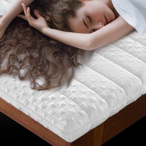 榻榻米E棕床环垫硬棕垫保乳脊胶YOG棕榈儿童护加硬垫椰子透气环保 - 图0