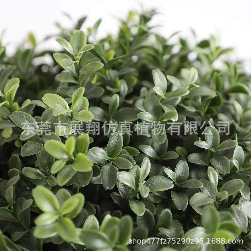 黄杨木杨梅叶圣生白蒂树枝假果枝插花摆件花卉景观仿真绿植摆件,淘宝优惠券,粉丝福利购,淘宝优惠卷