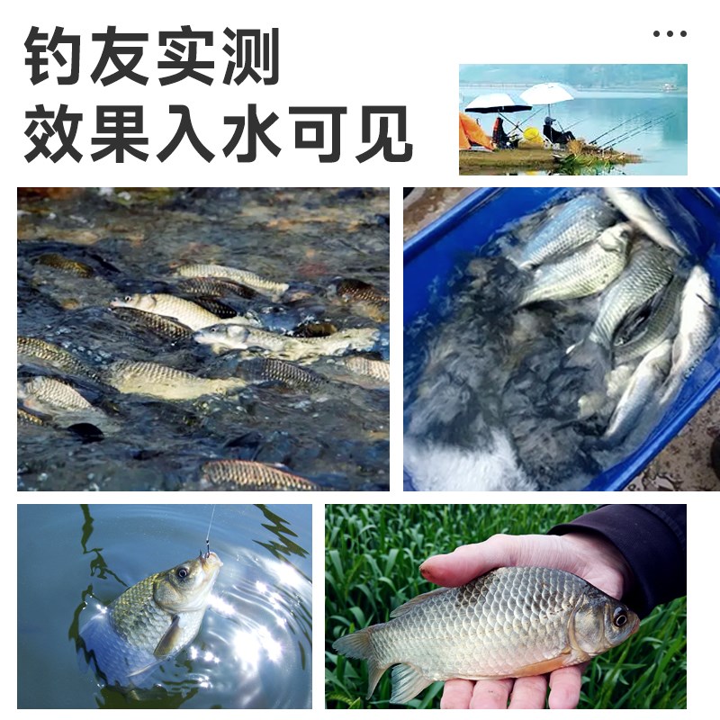 穿透王浓缩焦香黑糖糖浆膏钓鲤鲫鱼黑坑野垂钓专用小药诱鱼添加剂 - 图2