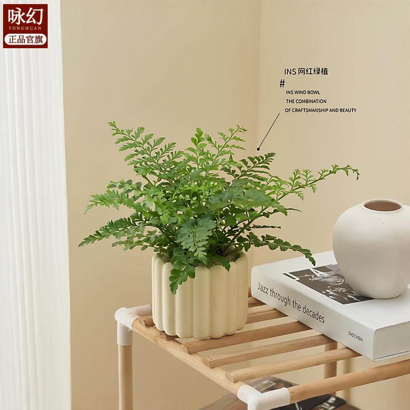 办公室桌面室内绿植小盆栽奶油风摆件室内除甲醛净化空气四季通用,淘宝优惠券,粉丝福利购,淘宝优惠卷