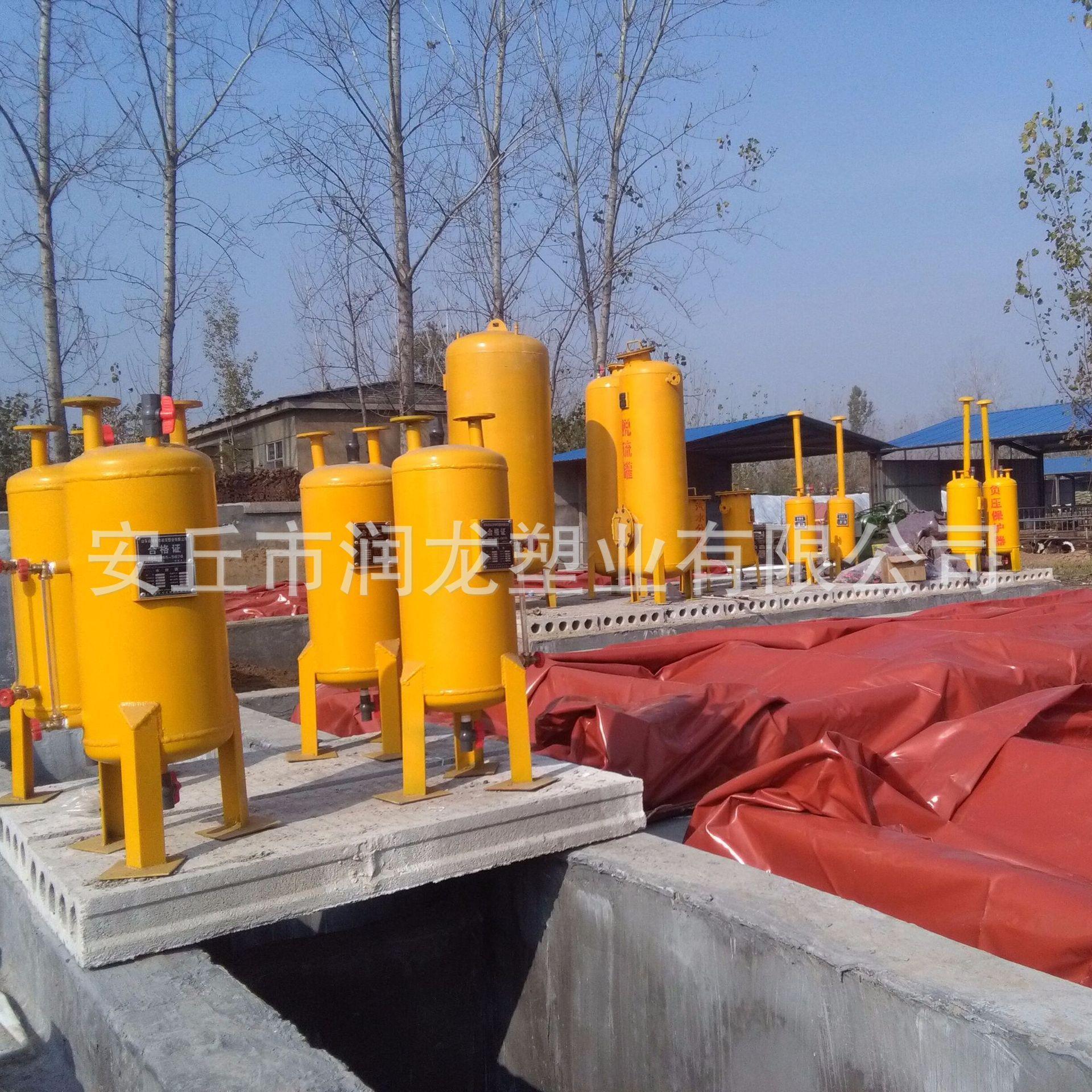 厂家供应脱硫塔沼气净化配套处理设备沼气处理罐脱硫净化设备 - 图0