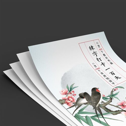 【新】练字打卡100天带字头笔画偏旁独体字硬笔书法纸田字格小学 - 图0