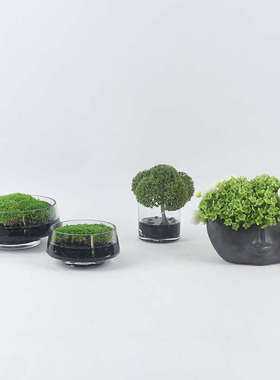 新中式圆形透明玻璃整体景鹅卵石茶几花艺洽谈苔藓桌端台饰品摆件