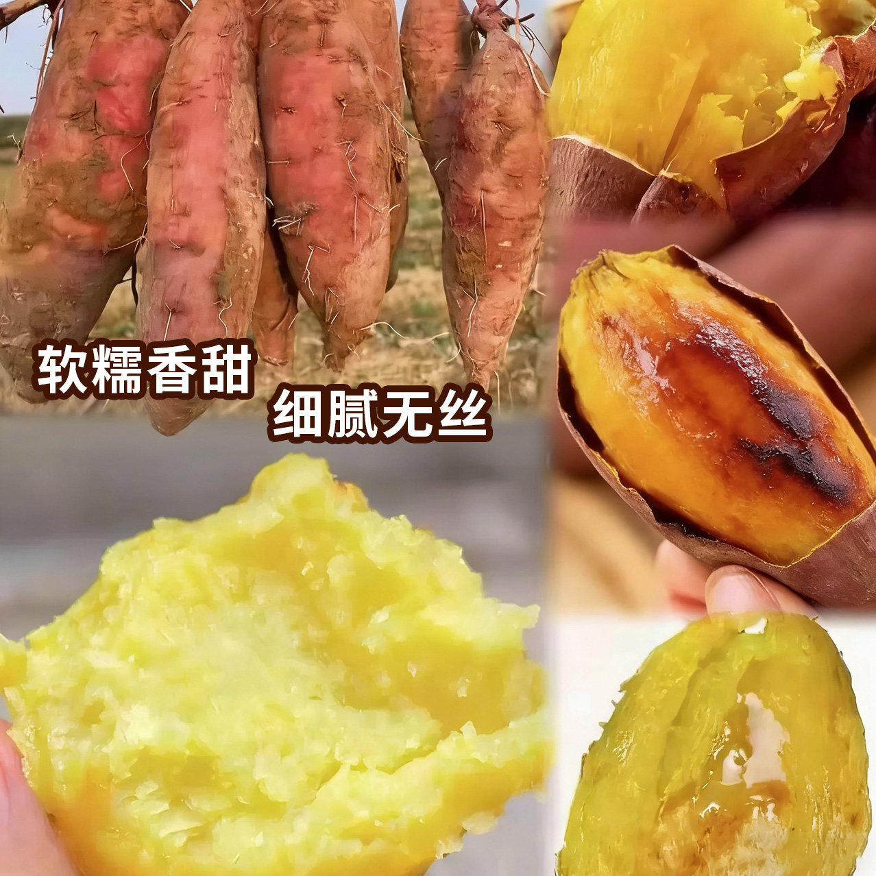 正宗广东榴莲蜜薯烘烤流蜜软糯香甜黄金榴莲蜜薯新鲜现摘果园直发,淘宝优惠券,粉丝福利购,淘宝优惠卷