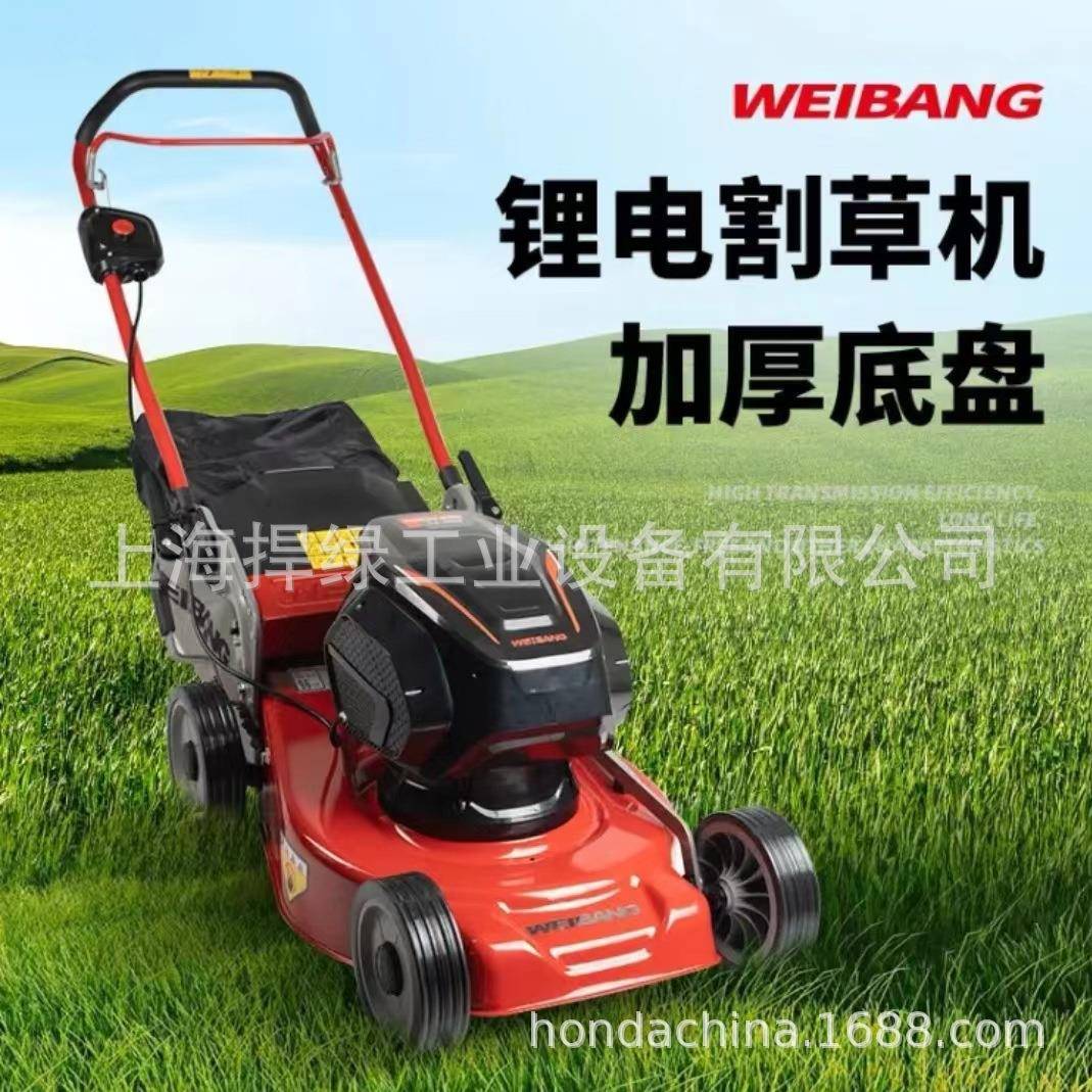 维邦WB45除2HE锂电割机充电式草坪修打SIE剪多功能草机草电动草机 - 图0