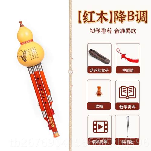高档新学艺 天然芦木音管葫芦丝 C调降B调 成人儿童初葫演红奏型 - 图0