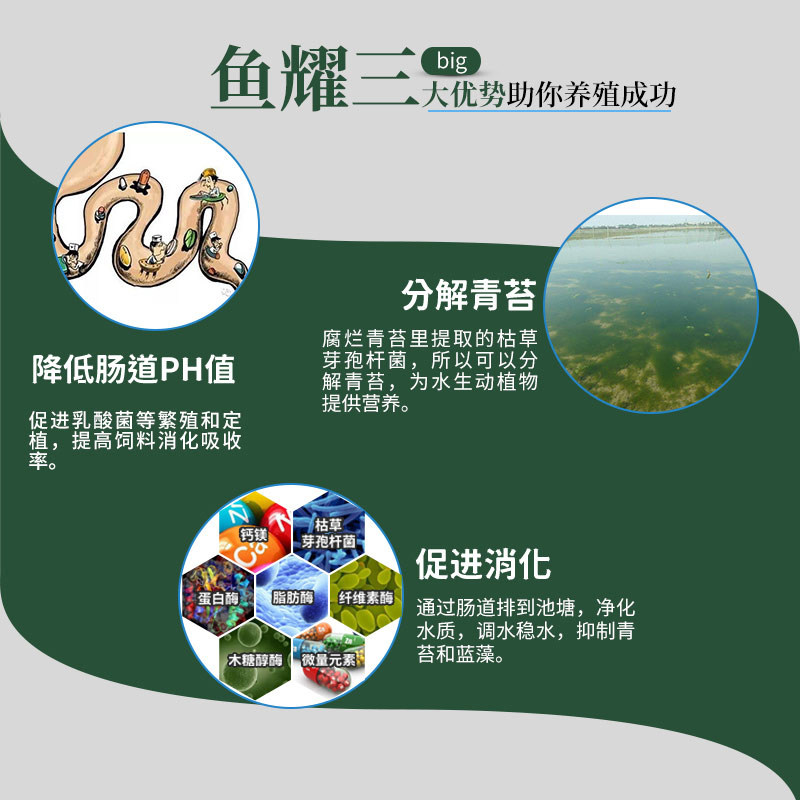 青苔消水产养殖鱼塘绿水生物分解青苔清除剂不伤水草鱼虾蟹去绿藻,淘宝优惠券,粉丝福利购,淘宝优惠卷