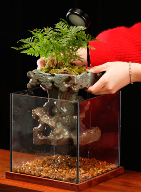 创意小型鱼缸造景真绿植全套客厅流水摆件循环水招财办公室装饰品