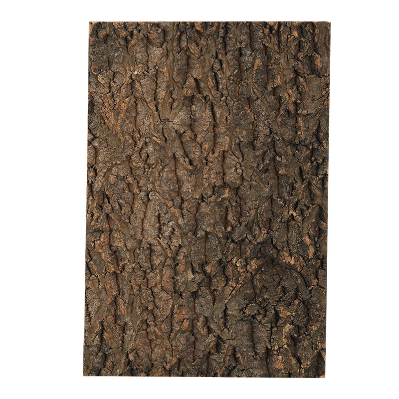 爬宠缸造景装饰树皮橡木软木背景板爬虫造景宠物饲养箱仿真假树皮,淘宝优惠券,粉丝福利购,淘宝优惠卷