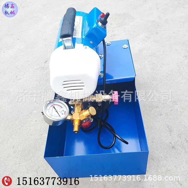 手提式PR水管道测压机 DSY-25电动试压泵厂家 水管地暖管道打压泵 - 图0