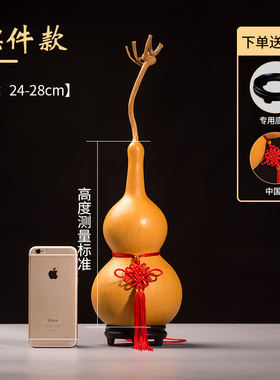 精选文玩特大中小号天然真木胡葫芦摆件挂件带龙头不开口家居礼品