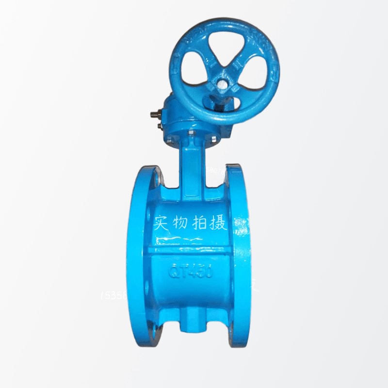 D31X-10/1Q手动涡轮软密封法兰蝶DN100 1 0 300 0 00 - 图3