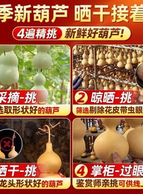 天然葫芦挂件门对门带龙头摆件开口木葫芦玄关客厅招财文玩手把件