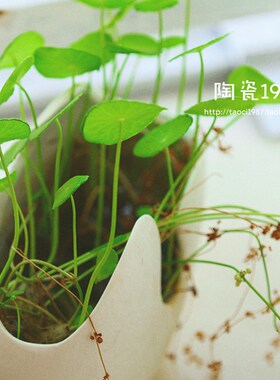 简约创意另类蛋壳形陶瓷花盆 花器家居摆件桌面装饰品套装 工艺品