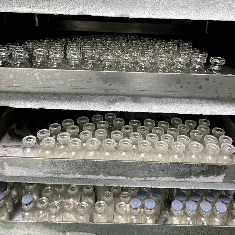 小型家用冻干机果蔬肉类燕窝糖果真空冷冻干燥机实验室用冻干粉机,淘宝优惠券,粉丝福利购,淘宝优惠卷