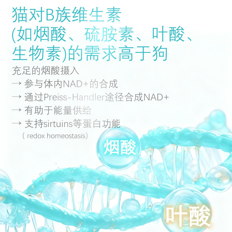 花零溪喵喵时光包补血肝精乳铁蛋白提高免疫力猫猫咪营养补充水剂,淘宝优惠券,粉丝福利购,淘宝优惠卷