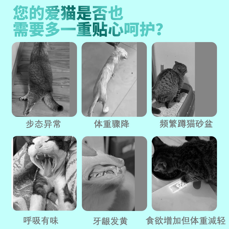 花零溪喵喵时光包猫咪磷虾油宠物猫专用鱼油猫咪化毛猫益生菌水剂,淘宝优惠券,粉丝福利购,淘宝优惠卷
