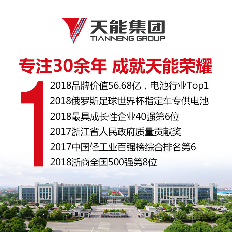 天能6V12安童车电动玩具车蓄电池四轮遥控车6伏10ah电瓶3FM10/20H - 图1