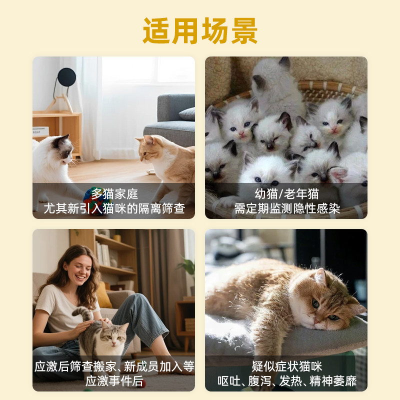 猫杯状病毒检测疱疹检测体检荧光pcr核酸检测居家采样宠物体检,淘宝优惠券,粉丝福利购,淘宝优惠卷