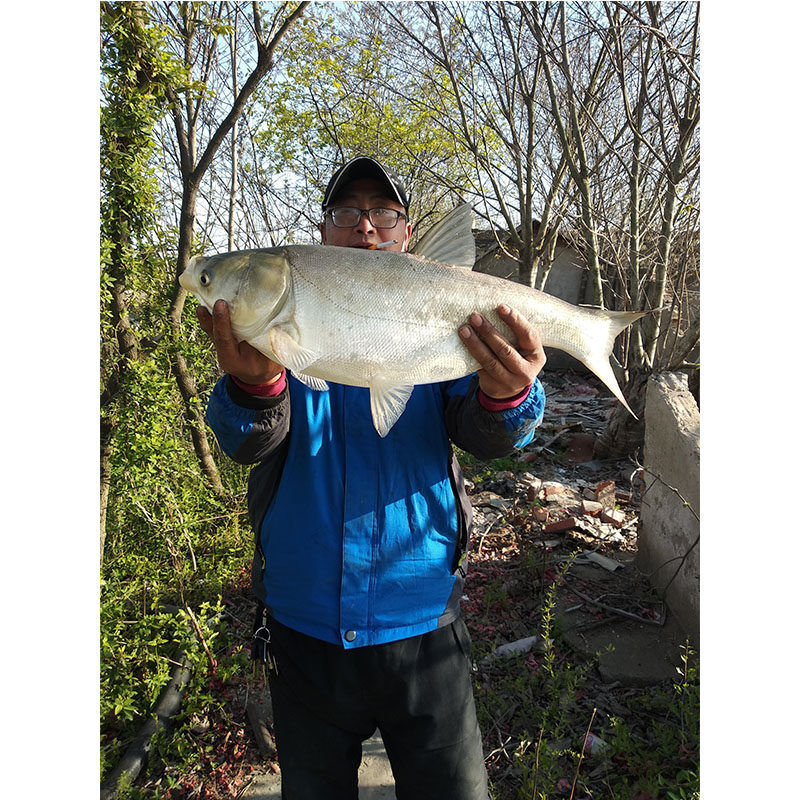 远投抛竿海洋矶钓竿2.7/3.6/4.5/5.4仿碳矶竿矶杆手海两用矶钓杆,淘宝优惠券,粉丝福利购,淘宝优惠卷