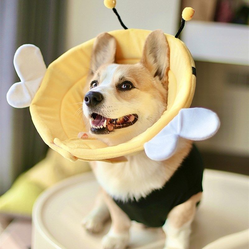 宠物伊丽莎白圈加深狗狗防咬防舔防水头套软耻辱脖圈柯基绝育用品,淘宝优惠券,粉丝福利购,淘宝优惠卷