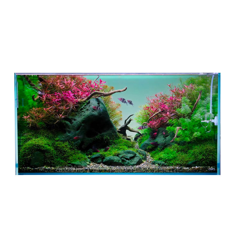 青龙石造景水族箱鱼缸造景套餐装饰ada水草缸山水石造景客厅生态,淘宝优惠券,粉丝福利购,淘宝优惠卷
