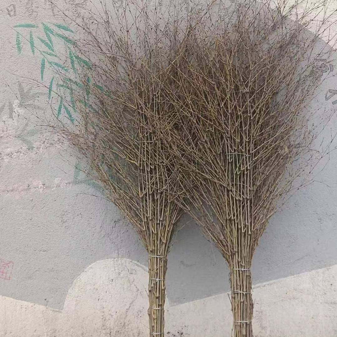 竹扫把外户环卫子家马路工厂711院子专用庭院竹工地扫地用室外扫,淘宝优惠券,粉丝福利购,淘宝优惠卷