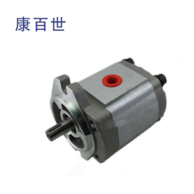 康百世P102/P127/P135/P104/05/P106/7/9油泵P101RP01GT齿轮泵,淘宝优惠券,粉丝福利购,淘宝优惠卷