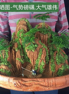 假山流水喷泉摆件吸水奇石头桌面盆景天然原植物办公室小鱼池造景