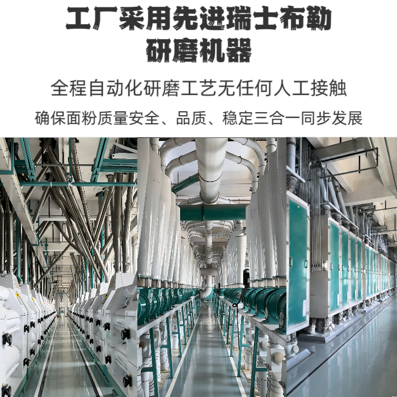 新疆全麦粉新麦都全麦粉5斤奇台面粉全麦面包粉家用烘焙粉