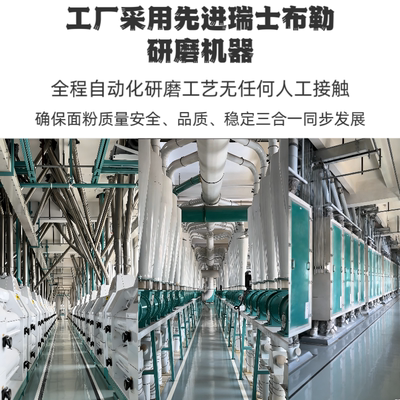 新麦都全麦粉10斤新疆奇台全麦面粉家用面粉面包粉5kg新疆面粉