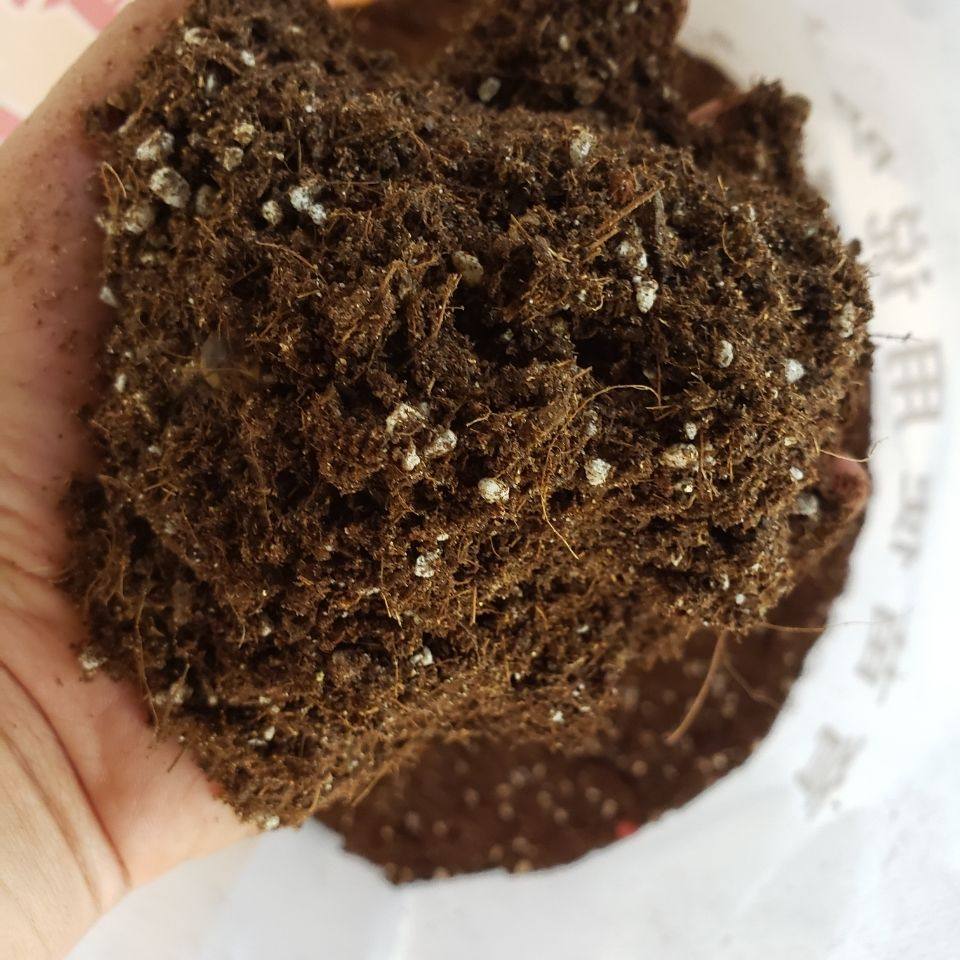 育苗基质50升有机营养土种菜泥炭椰糠花土扦插种植蔬菜种花园艺,淘宝优惠券,粉丝福利购,淘宝优惠卷