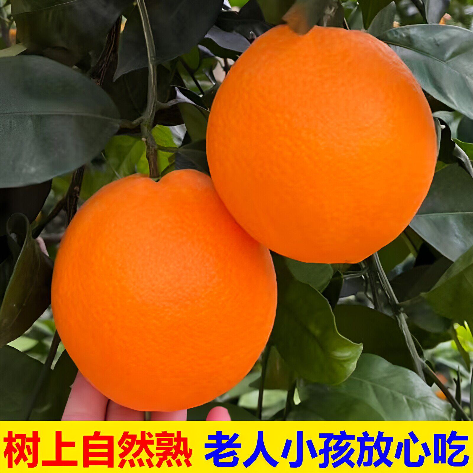 图 4