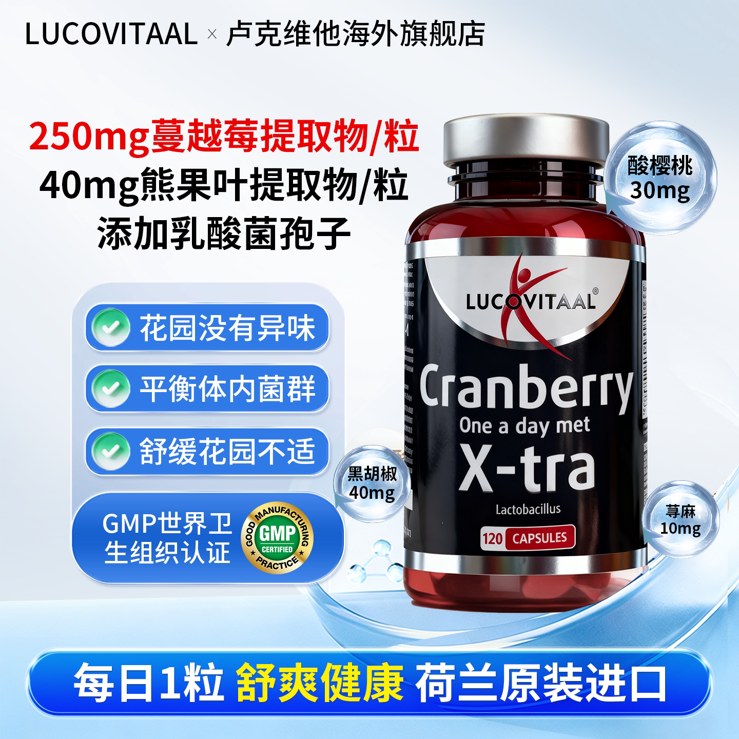 荷兰卢克维他蔓越莓乳酸菌胶囊高浓配方复方草本私处异味泌尿养巢