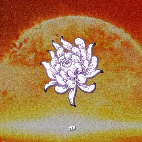 TLP反光车贴 菊花绽放闪耀盛开花朵手绘植物防水机车摩托漆面贴纸 - 图0