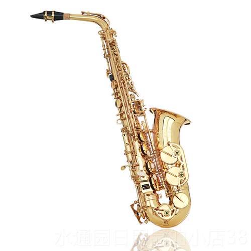 正品YOUNG阳歌降e调Y考AS-16风中音萨克学斯乐器级初者演奏包邮顺 - 图3