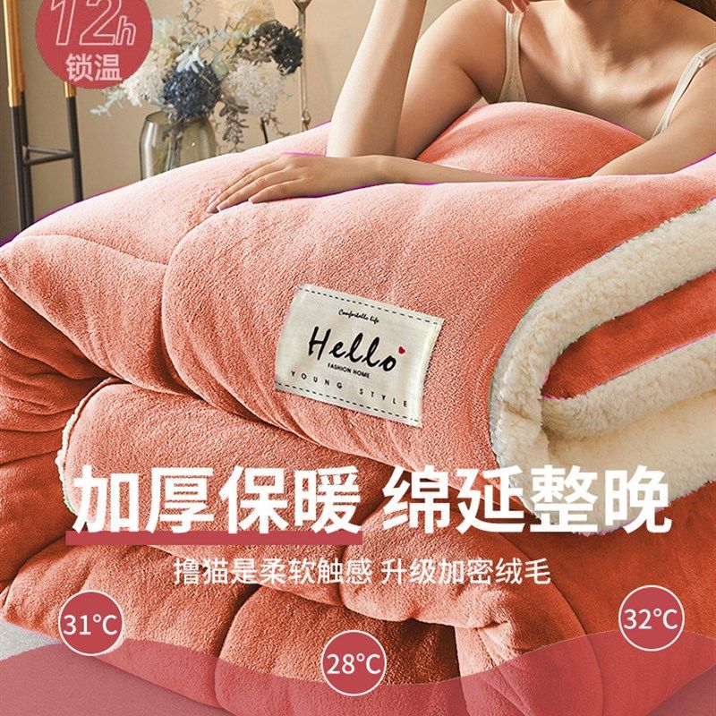 羊羔绒被子2025新款冬季棉被被芯冬天单人宿舍秋冬被加厚保暖10斤,淘宝优惠券,粉丝福利购,淘宝优惠卷