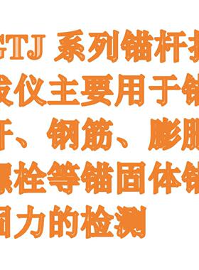 膨胀螺栓拉拔仪（测量范围：0-200KN）型号GTJ-20库号M412054