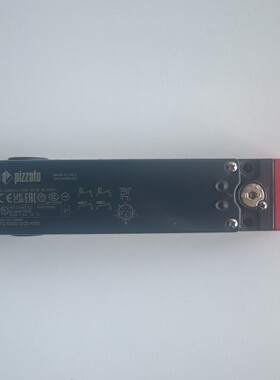 Pizzato意大原装进口安全门锁FG60GD1D0Z-K900