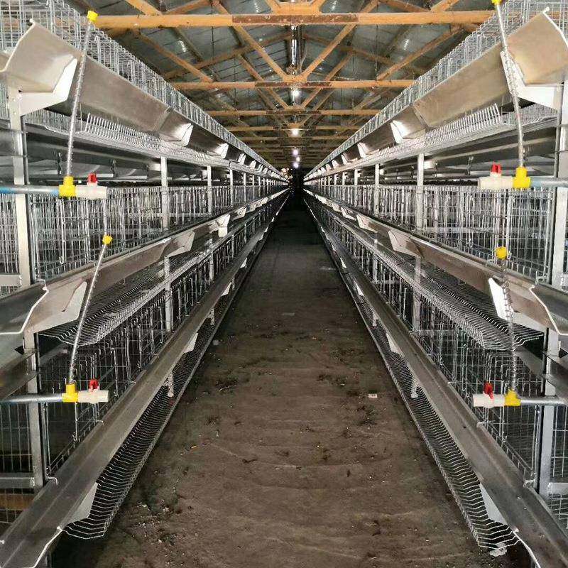 现货全自动化大层叠蛋鸡笼热镀锌养殖设备自动喂料集蛋清粪蛋鸡笼,淘宝优惠券,粉丝福利购,淘宝优惠卷