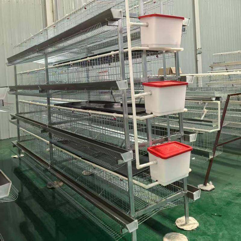 粪盘蛋鸡笼厂家镀锌材质三层四层自动清粪养鸡笼家用养殖鸡笼,淘宝优惠券,粉丝福利购,淘宝优惠卷