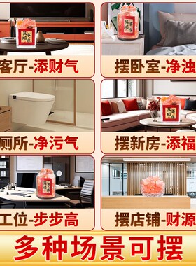 粗盐净宅大颗粒喜马拉雅粉盐块海盐天然玫瑰盐特级鸽血红摆件容器