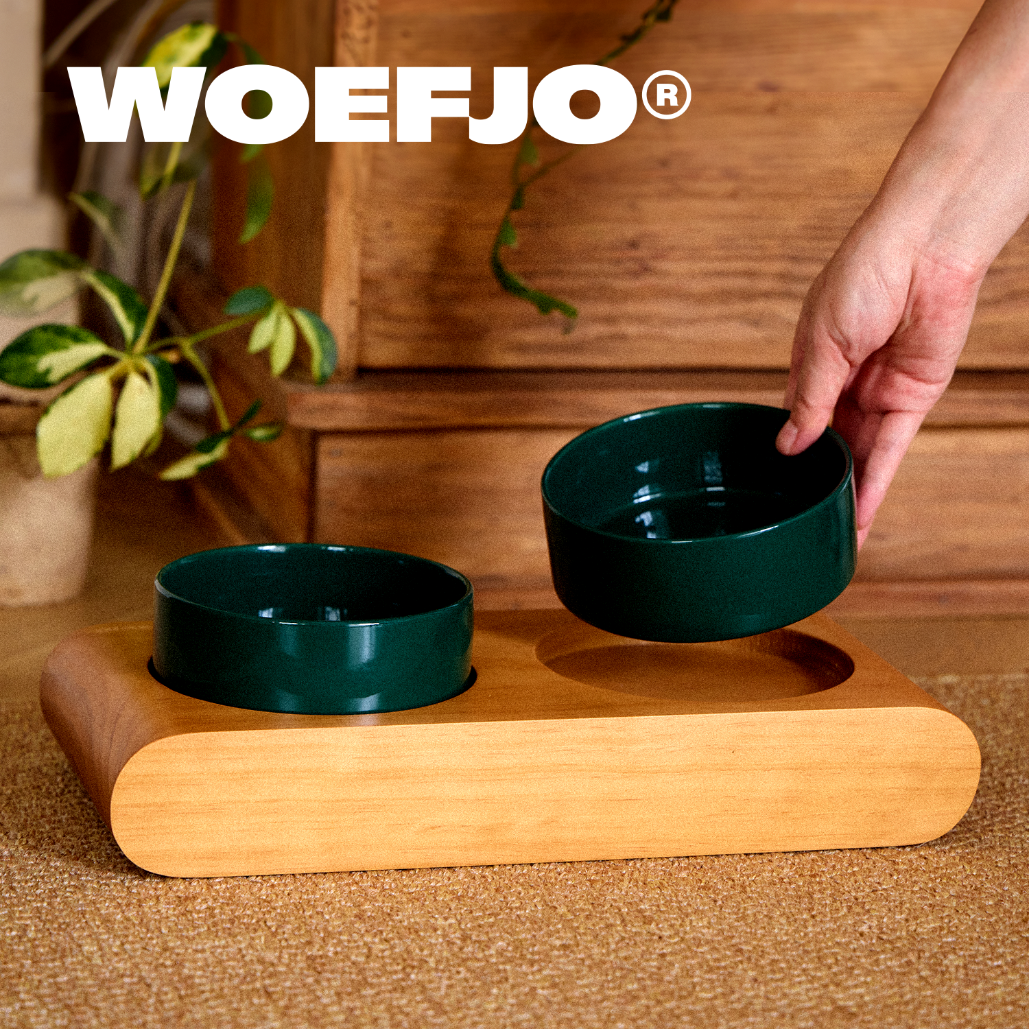 WOEFJO实木宠物双碗餐桌护颈猫碗狗碗陶瓷碗不锈钢碗防打翻猫狗碗,淘宝优惠券,粉丝福利购,淘宝优惠卷