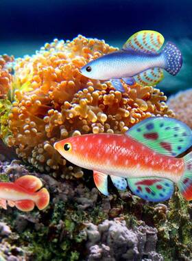 仿真热带鱼海洋动物家居饰品摆件装饰立体户外雕塑摆设热销