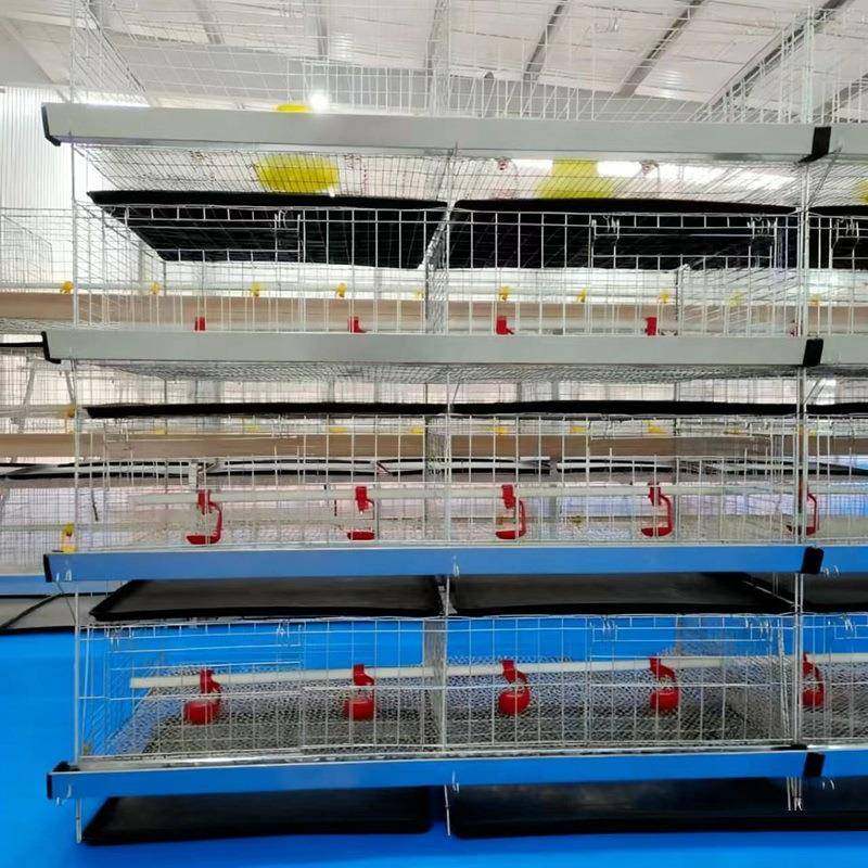 育雏笼四层立体式镀锌鸡舍养殖笼厂家小鸡笼畜牧农用养殖雏鸡笼,淘宝优惠券,粉丝福利购,淘宝优惠卷